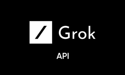 Grok API
