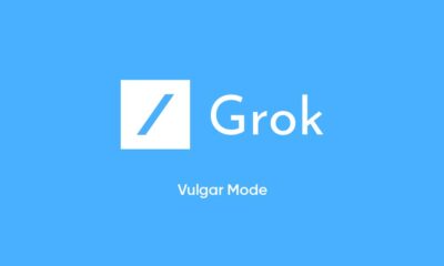 xAI Grok Vulgar Mode