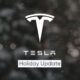 Tesla Holiday Update