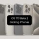 iOS 17.2 Beta 2 bricking iPhones