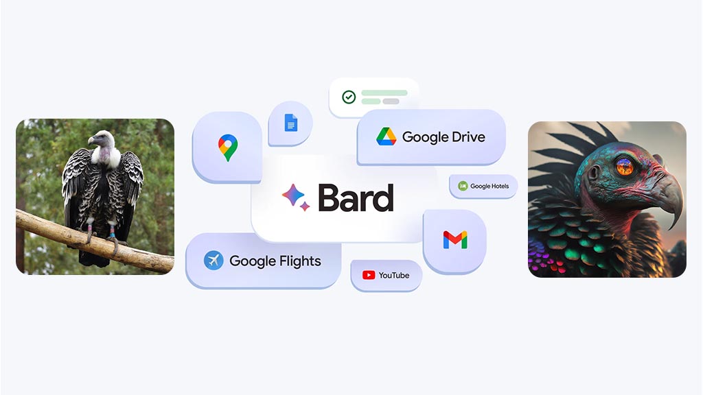 Google Bard Images