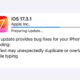 Apple iOS 17.3.1