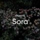 OpenAI Sora