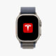 Tesla app Apple Watch