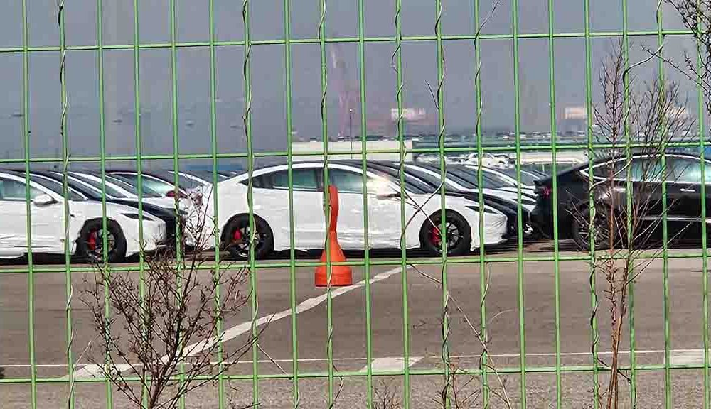 2024 Tesla Model 3 Performance (Ludicrous) spotted in South Korea