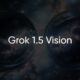 Grok 1.5 Vision