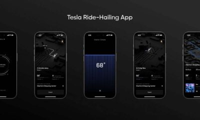 Tesla Ride-Hailing App