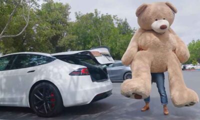 Tesla Hands-Free Trunk