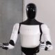 Tesla Optimus Robot