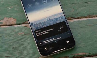 Tesla Robotaxi Ride-hailing app