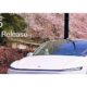 Tesla Spring 2025 update
