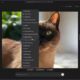 xAI Grok AI image edit features