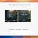 Grok Images aspect ratio feature