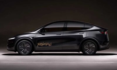 Tesla Robotaxi