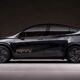 Tesla Robotaxi