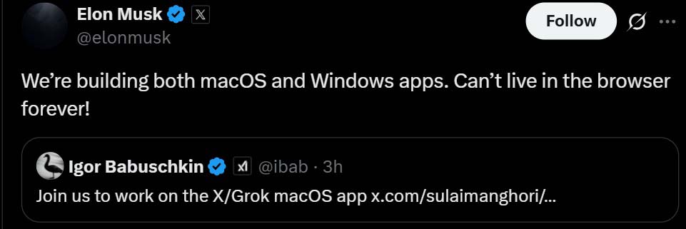 xAI macOS Windows apps