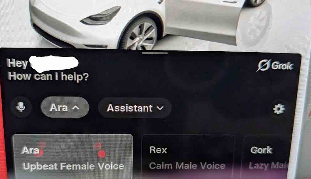 Tesla Grok app user interface
