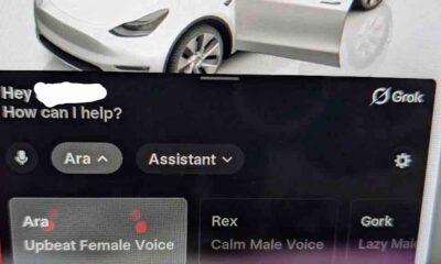 Tesla Grok app user interface