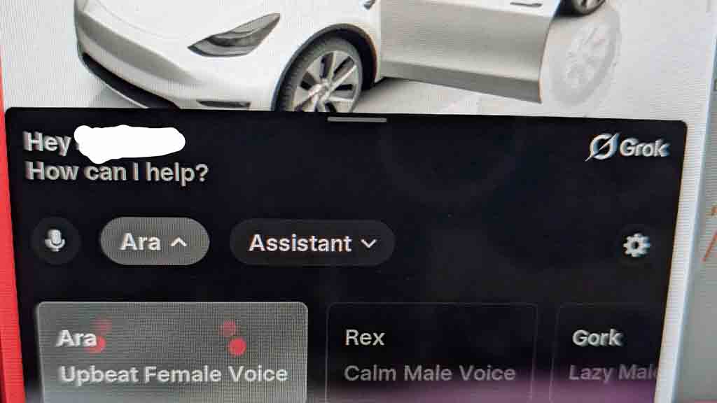 Tesla Grok app user interface