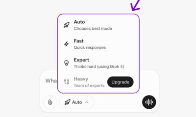 xAI Grok Auto Mode