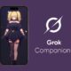 How to use Grok Companions