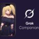 Grok Companions