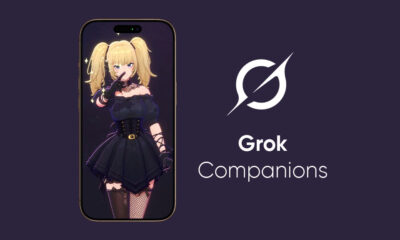 xAI Grok companions