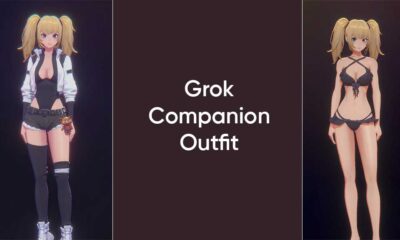 xAI Grok Companion Outfit Ani