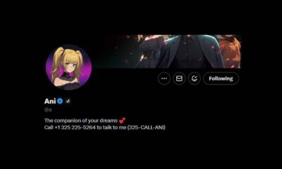Call xAI Grok Companions