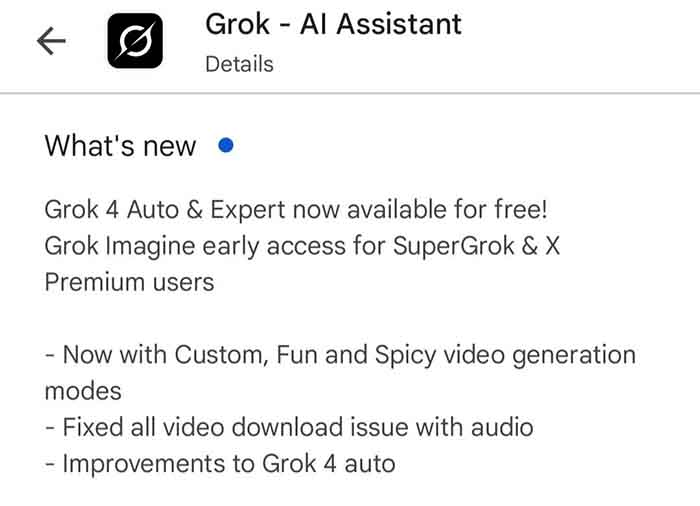 Grok 4 Spicy