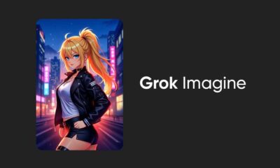 xAI Grok Imagine feature