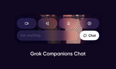 xAI Grok Companions Chat
