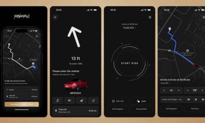 Tesla Robotaxi App Interface