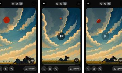 xAI Grok Imagine Video Playback